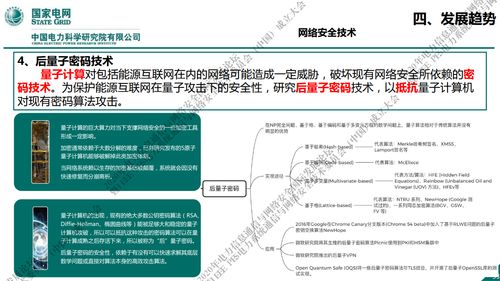 國(guó)家電網(wǎng)新一代信息通信及網(wǎng)絡(luò)安全技術(shù)發(fā)展趨勢(shì)與網(wǎng)絡(luò)技術(shù)開(kāi)發(fā)前瞻